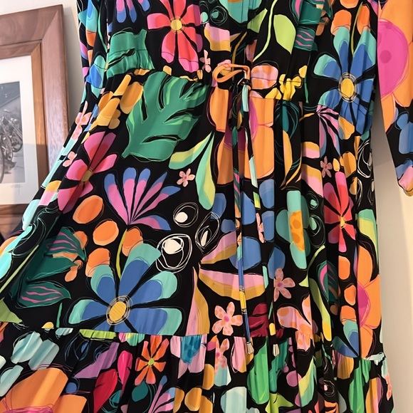 Proud Poppy Maxi Dress size US 4 - Picture 4 of 5